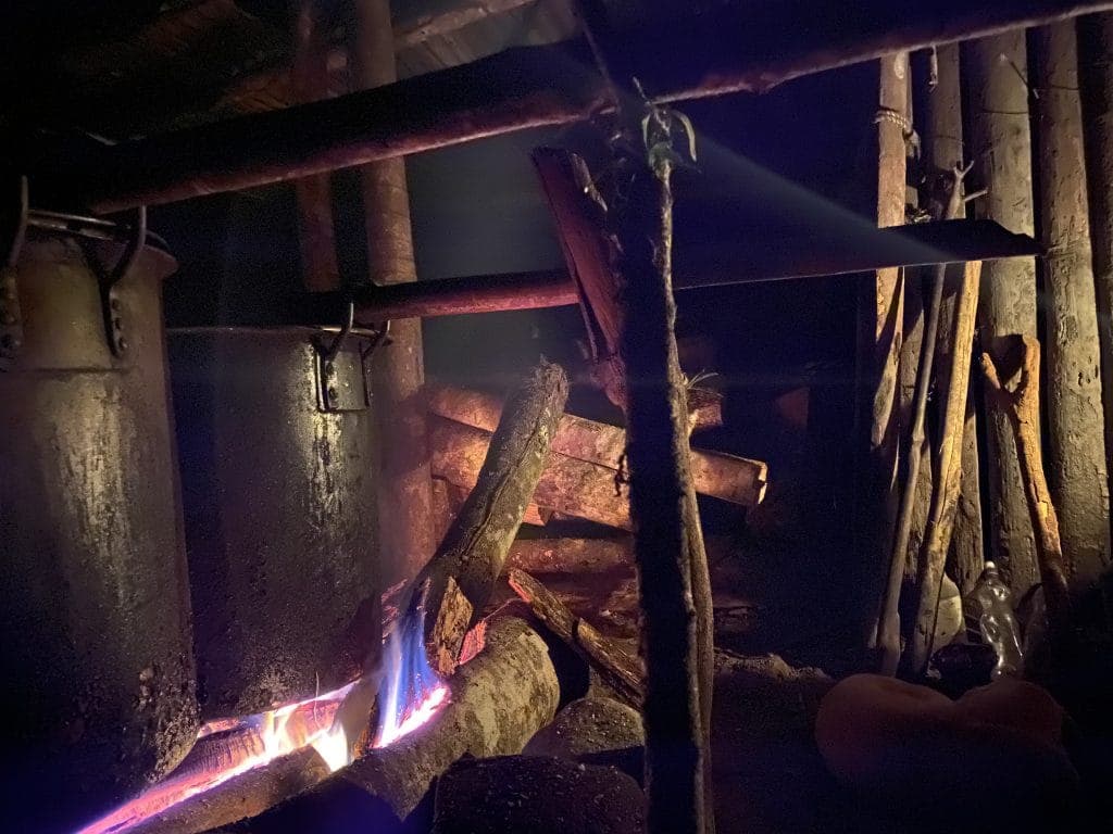 ayahuasca