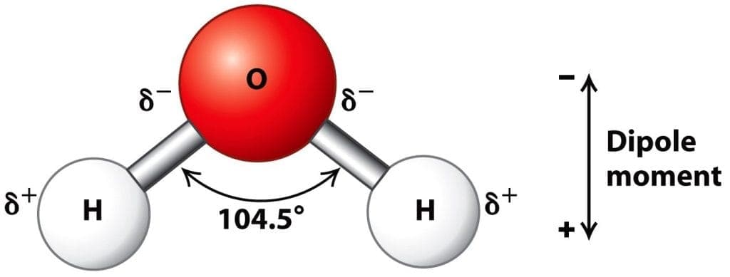 Water Molecule